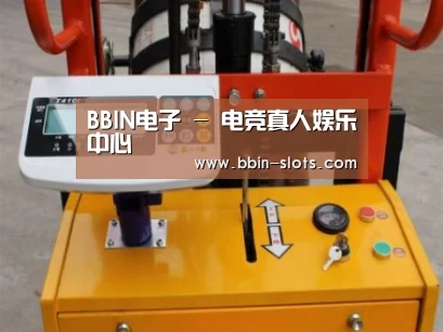 BBIN真人案例展示三