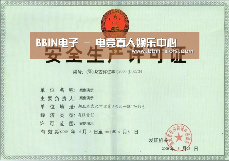 BBIN真人荣誉证书三