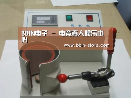 BBIN真人案例展示六
