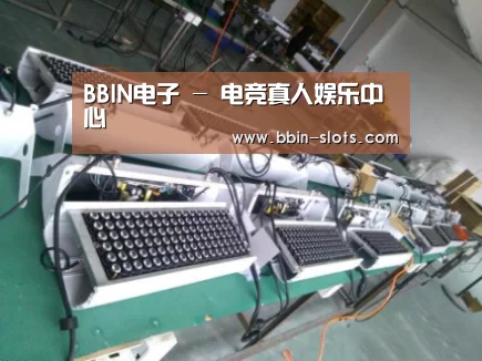 BBIN真人案例展示一(图1)