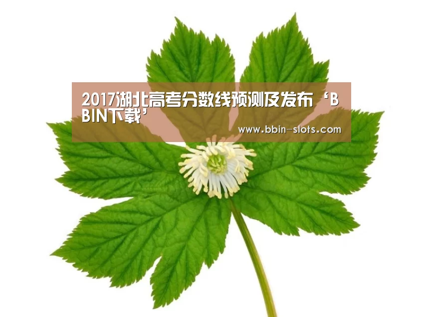 2017湖北高考分数线预测及发布‘BBIN下载’(图2) BBIN下载