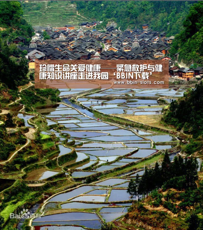 BBIN下载