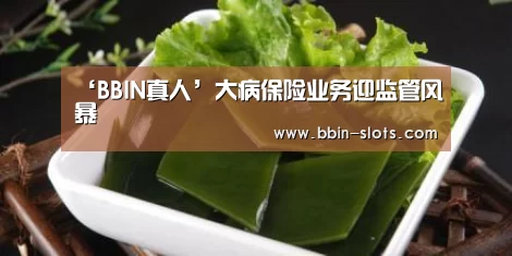 BBIN下载