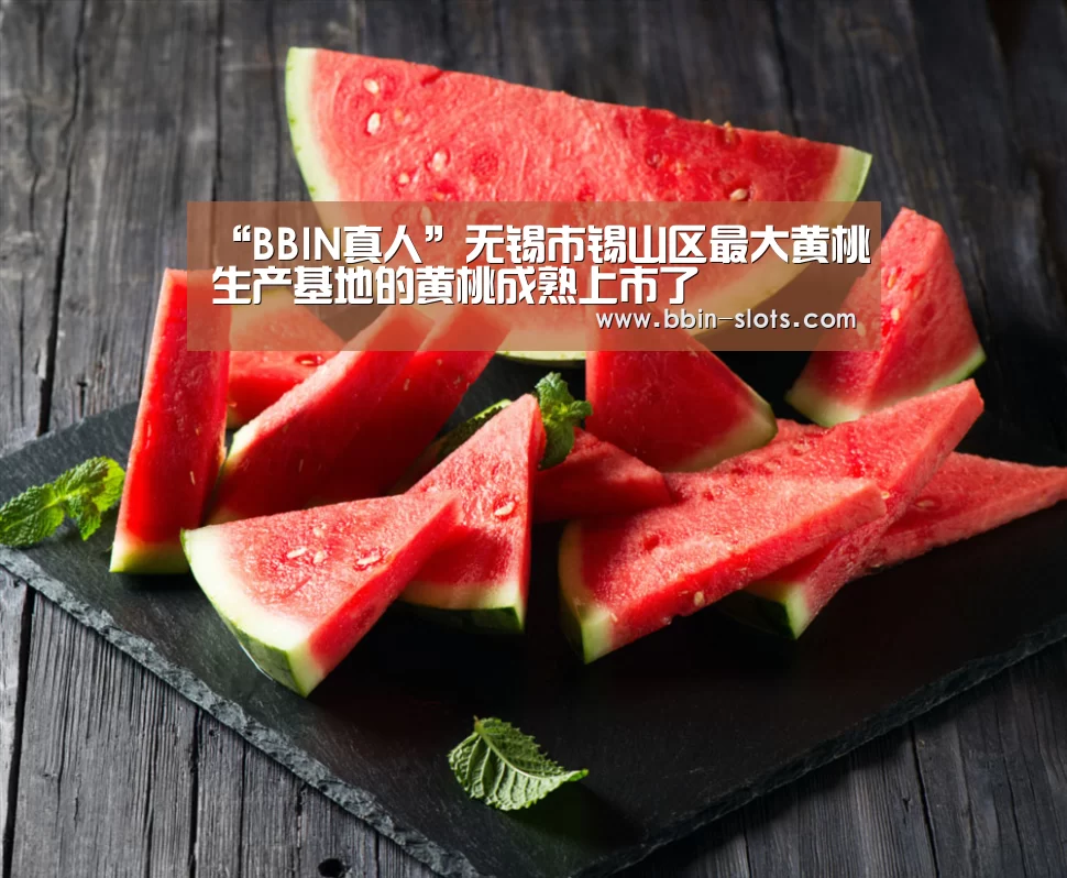 BBIN百家乐