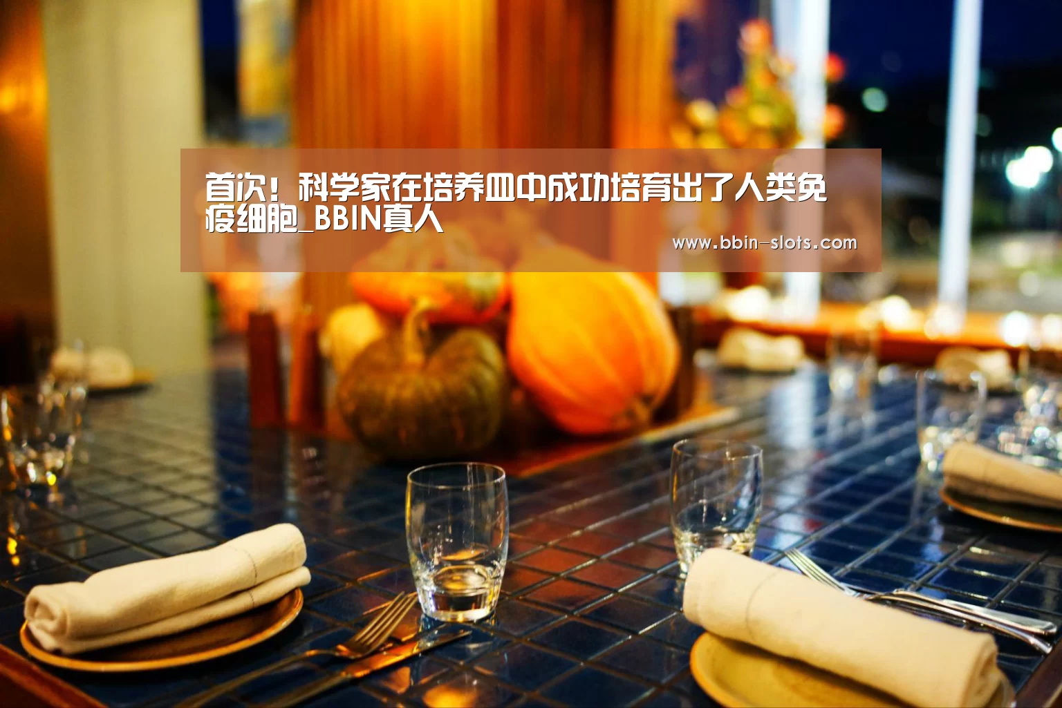 首次!科学家在培养皿中成功培育出了人类免疫细胞_BBIN真人(图1) BBIN百家乐