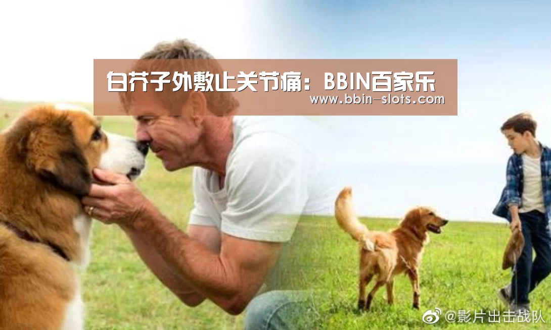 白芥子外敷止关节痛:BBIN百家乐(图1) BBIN下载