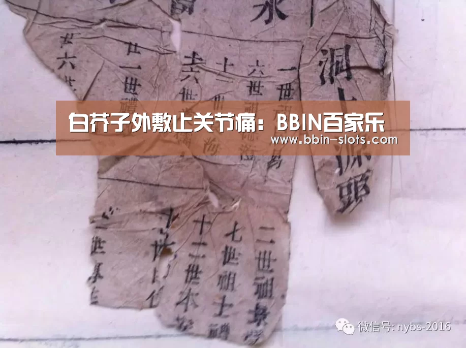白芥子外敷止关节痛:BBIN百家乐(图2) BBIN下载